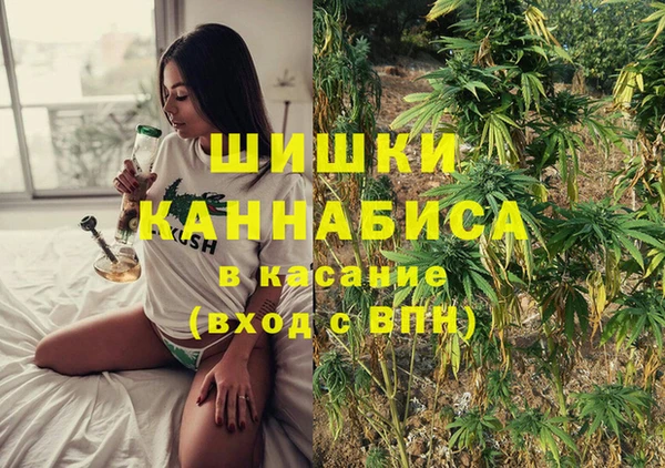 амф Алзамай