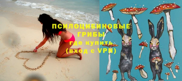 амф Алзамай