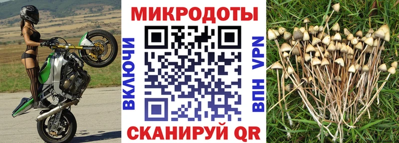 Псилоцибиновые грибы мицелий  MEGA ссылка  Камешково 